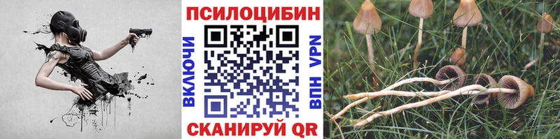 Псилоцибиновые грибы Psilocybe  Вязники 