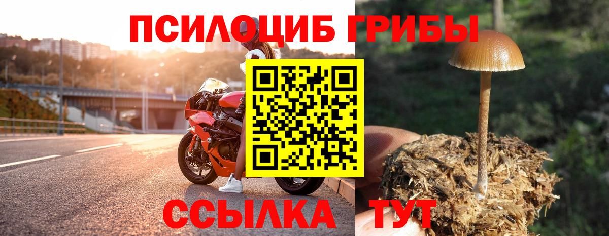 Галлюциногенные грибы Magic Shrooms  Вход с VPN  Вязники 
